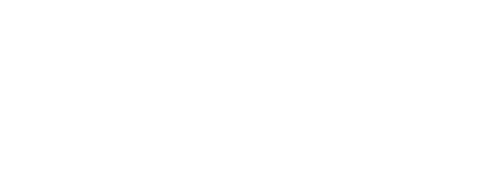 South Carolina Victory Fund